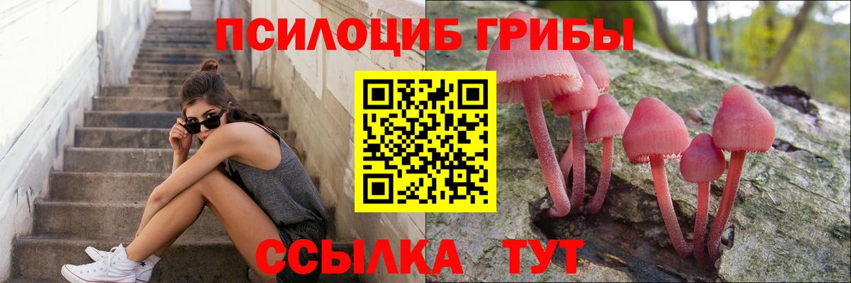 Псилоцибиновые грибы Magic Shrooms  Вход с VPN  Елизово  Псилоцибиновые грибы Psilocybine cubensis 
